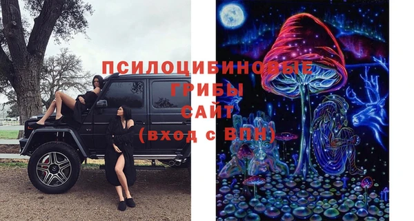 PSILOCYBIN Слюдянка