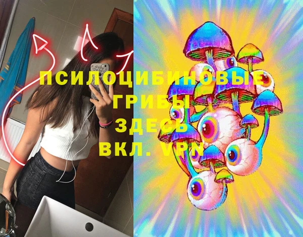 не бодяженный Дмитровск